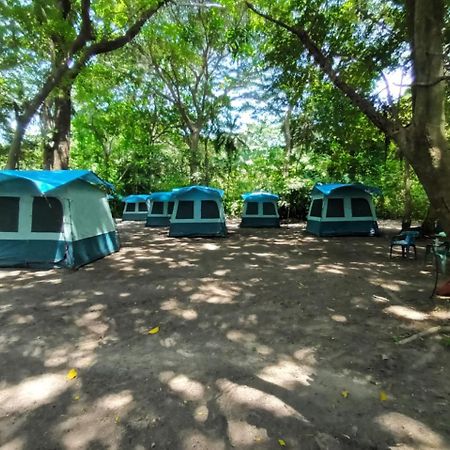Happy Camping Arrecifes Dentro Del Parque Nacional Natural Tayrona El Coquito Exterior foto